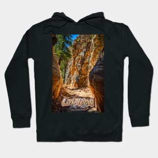 Lick Wash Trail Hike Hoodie